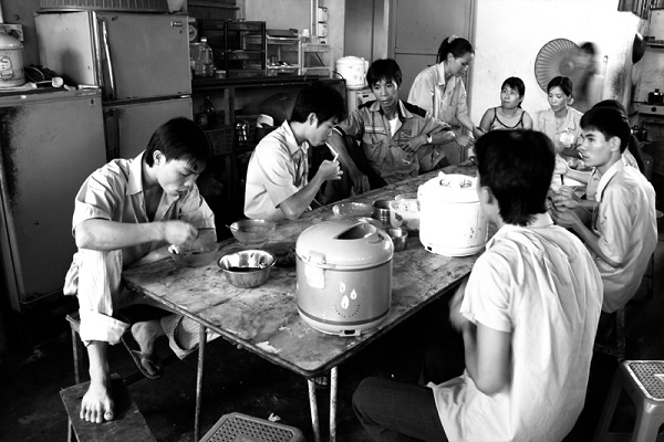 (C) Nguyen Thanh Lam / Wikimedia Commons / CC BY 2.0