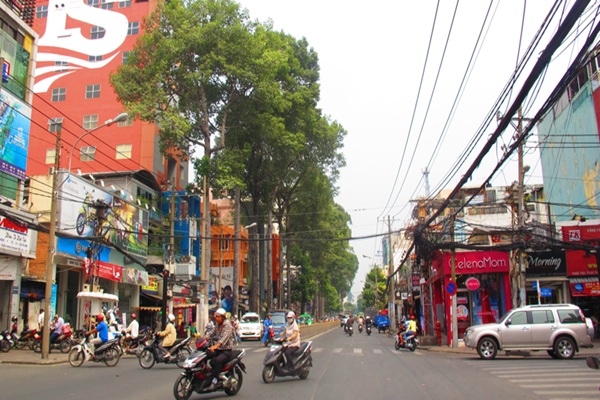 (C) trungydang / Wikimedia Commons / CC BY-SA 3.0