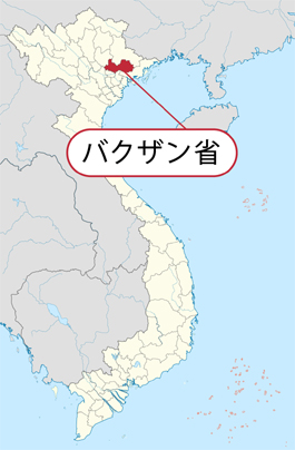 タイ小売大手セントラル バクザン省産ライチ約1000t販売へ 経済 Vietjoベトナムニュース