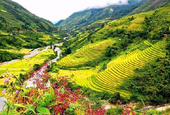 (C) tripadvisor, サパ