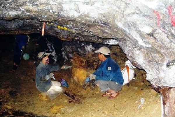 クアンナム省 閉鎖の金鉱で違法な採掘が横行 一獲千金を夢見て 社会 Vietjoベトナムニュース