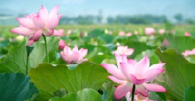 (C) vietnamairlines