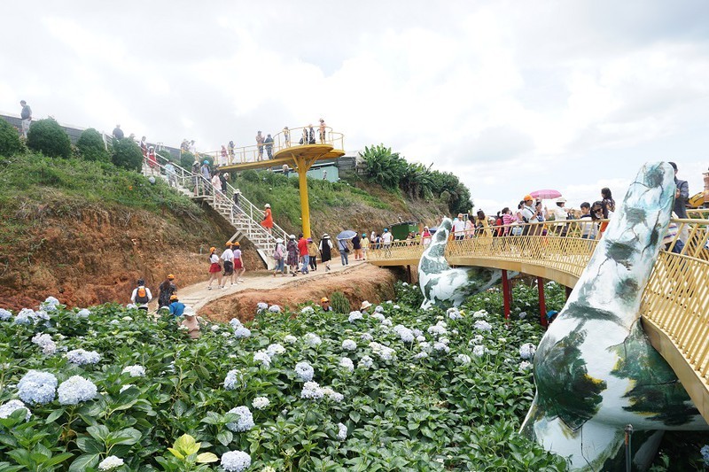 世界のお花見都市トップ10 ダラットが3位 観光 Vietjoベトナムニュース