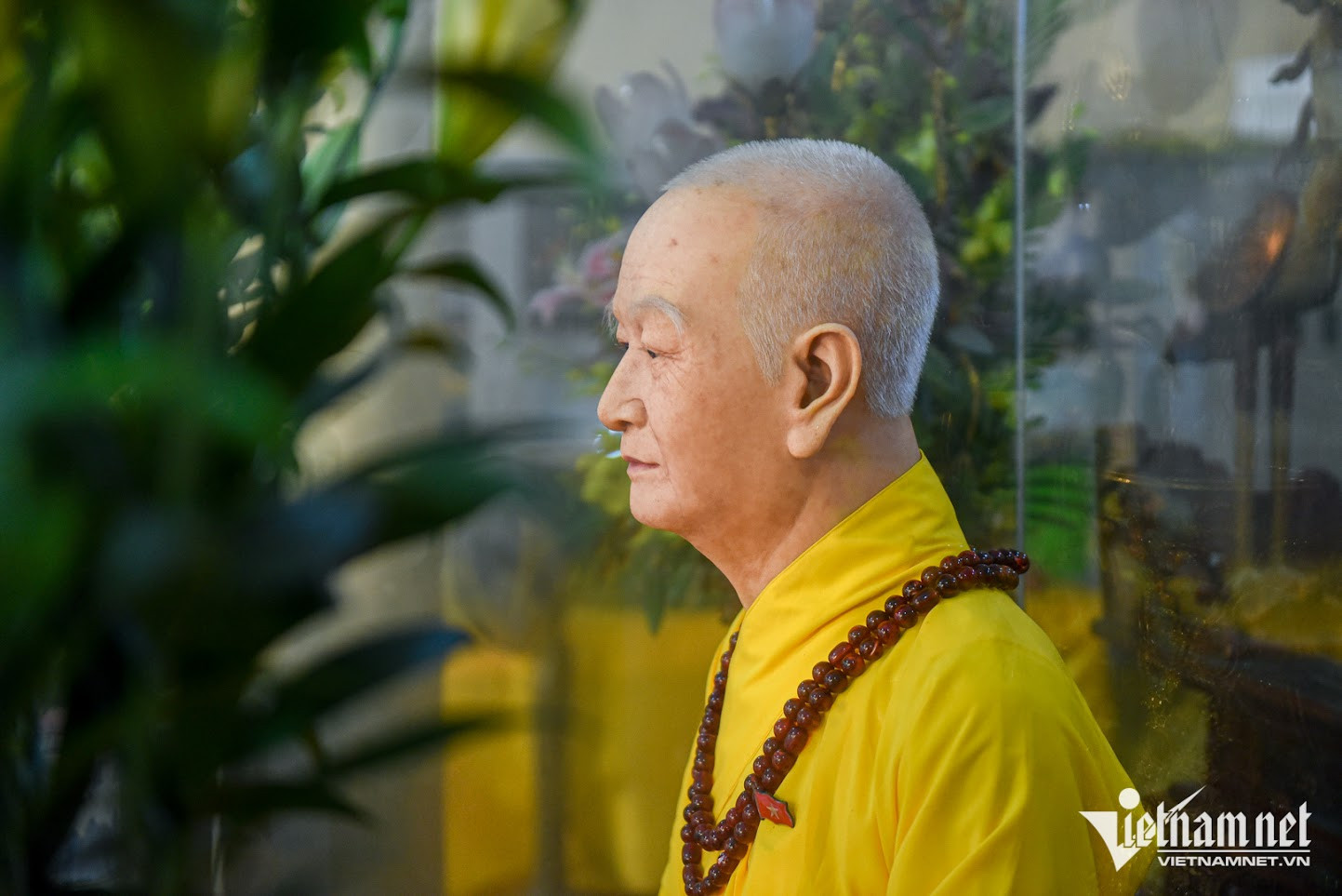 （C）vietnamnet